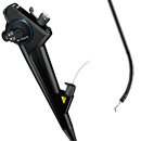 Optera Video Bronchoscope BF-1TQ170